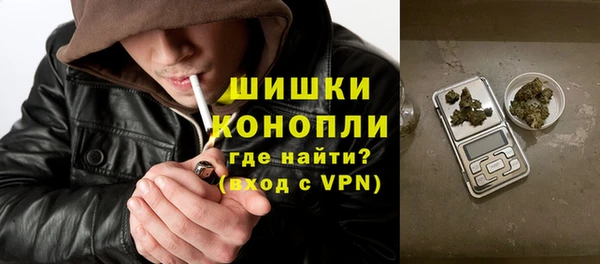 прущие грибы Верхний Тагил