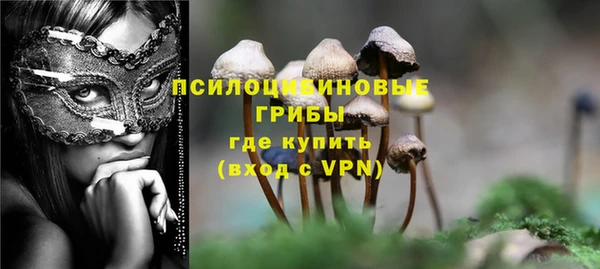 индика Верхнеуральск