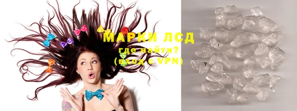 прущие грибы Верхний Тагил