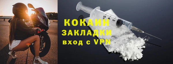 прущие грибы Верхний Тагил