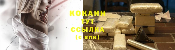 прущие грибы Верхний Тагил