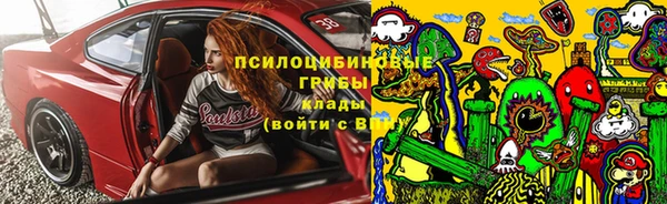 прущие грибы Верхний Тагил