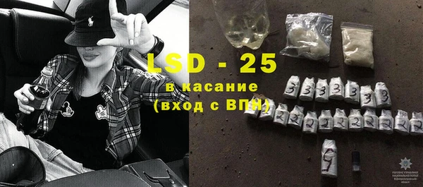 прущие грибы Верхний Тагил