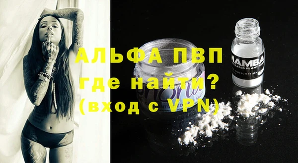 прущие грибы Верхний Тагил