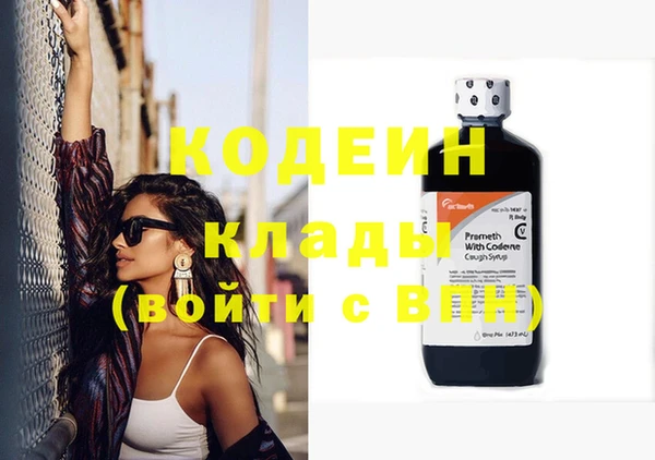 прущие грибы Верхний Тагил