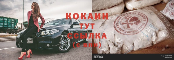 прущие грибы Верхний Тагил