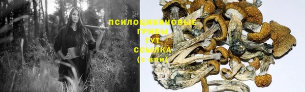 индика Верхнеуральск