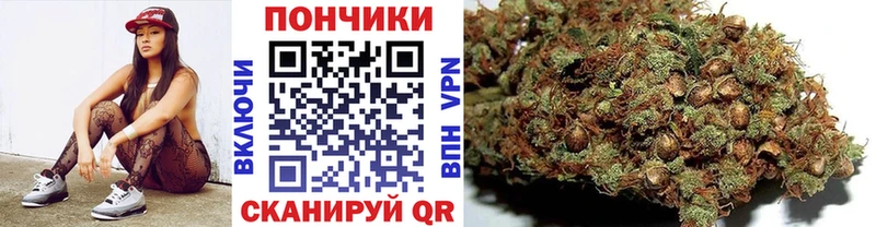 купить наркотик Нолинск Канабис SATIVA & INDICA